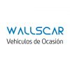 Opiniones reales Wallscar ¿Qué es y que puede hacer por ti?
